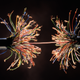 Illustration for article titled How Microsoft's Quantum Boast Went Bust